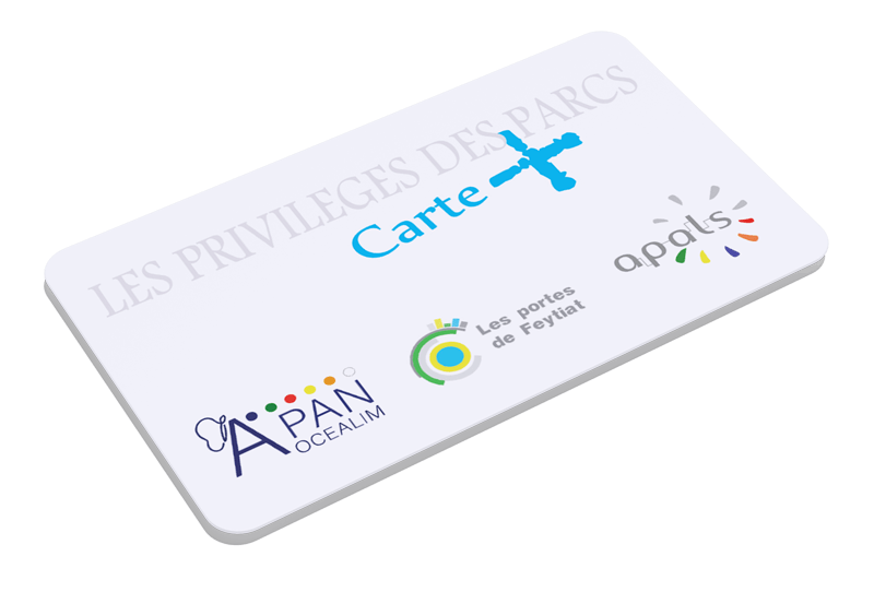 carte + limoges